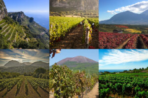 Dal Sannio al Cilento, dall’Irpinia ad Amalfi, dal Vesuvio a Ischia: la Campania del vino Dal Sannio al Cilento, dall’Irpinia ad Amalfi, dal Vesuvio a Ischia: la Campania del vino