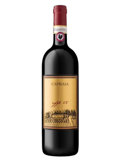 CHIANTI CLASSICO, ROCCA DI CASTAGNOLI, SANGIOVESE, Su i Vini di WineNews