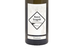 Ronco Scagnèt, Doc Collio Friulano 2023