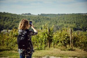 La “Giornata Mondiale della Gastronomia Sostenibile”, tra vigne, olivi e agriturismi italiani La “Giornata Mondiale della Gastronomia Sostenibile”, tra vigne, olivi e agriturismi italiani