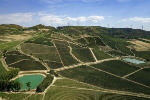 Il Gruppo Italiano Vini-Giv acquisisce la totalità di Tenuta Rapitalà in Sicilia Il Gruppo Italiano Vini-Giv acquisisce la totalità di Tenuta Rapitalà in Sicilia