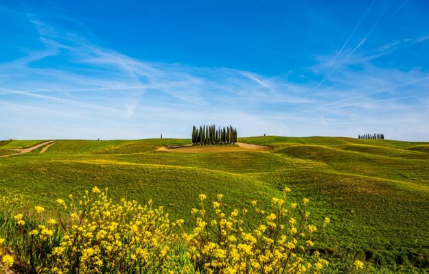 BIBLIOTECA ENOGASTRONOMICA, Patrimonio Umanità, TOSCANA, UNESCO, Non Solo Vino