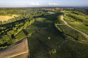 L’Ia sempre più presente in vigneto: brevettato il primo atomizzatore “intelligente” L’Ia sempre più presente in vigneto: brevettato il primo atomizzatore “intelligente”