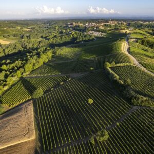 AI increasingly present in vineyards: the first “smart” sprayer patented