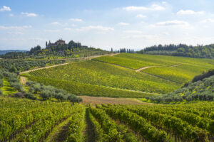 Aiutare le imprese del vino a trasformare la crisi in opportunità: l’iniziativa di Intesa Sanpaolo Aiutare le imprese del vino a trasformare la crisi in opportunità: l’iniziativa di Intesa Sanpaolo