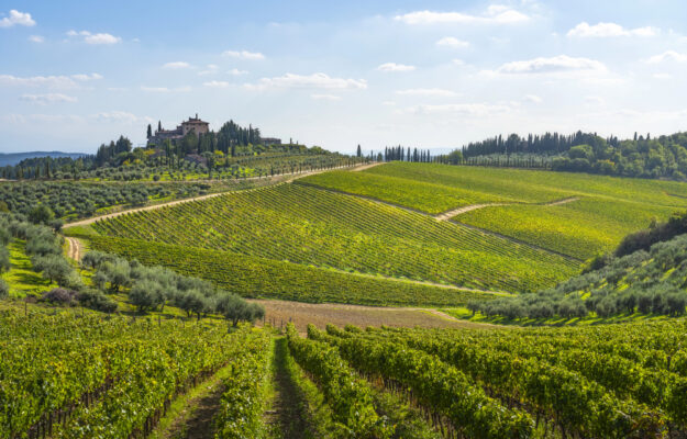 AGROALIMENTARE ITALIANO, FINANZA, IMPRESE, INTESA SANPAOLO, PMI, PNRR, Non Solo Vino