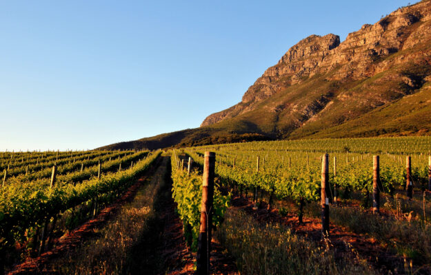 CRESCITA, Europa, INCLUSIONE, INDUSTRIA VINICOLA, SUD AFRICA, UNIONE EUROPEA, vino, Mondo