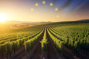 “Pacchetto Vino” Ue, via libera dal Consiglio Europeo, con qualche limatura “Pacchetto Vino” Ue, via libera dal Consiglio Europeo, con qualche limatura