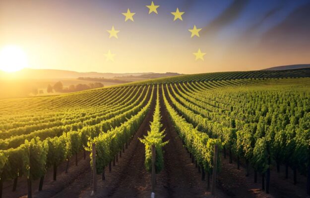 CHRISTOPHE HANSEN, COMMISSARIO AGRICOLTURA UE, COMMISSIONE UE, CONSIGLIO UE, PACCHETTO VINO, UE, VINO EUROPEO, Non Solo Vino