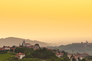 I Quaderni di WineNews - I Bianchi del Collio