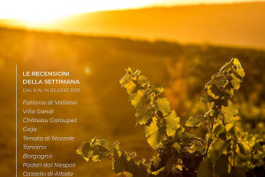 I Vini di WineNews - N. 366