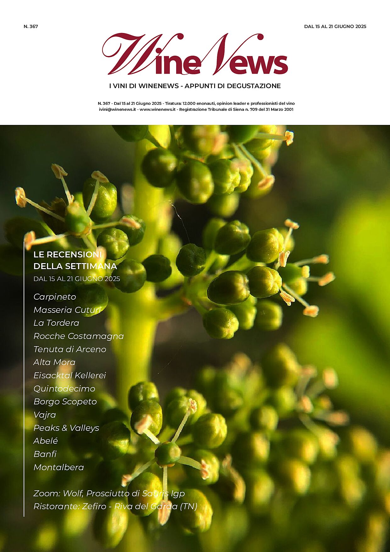 I Vini di WineNews