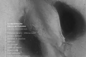 I Vini di WineNews - N. 368