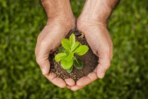 Sostenibilità, il 74% delle aziende agricole italiane adotta almeno una pratica circolare Sostenibilità, il 74% delle aziende agricole italiane adotta almeno una pratica circolare