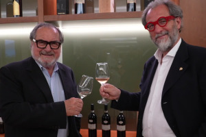 Il vino dealcolato non è vino, è una bevanda. E sulla “crisi” del vino dico che … Il vino dealcolato non è vino, è una bevanda. E sulla “crisi” del vino dico che …