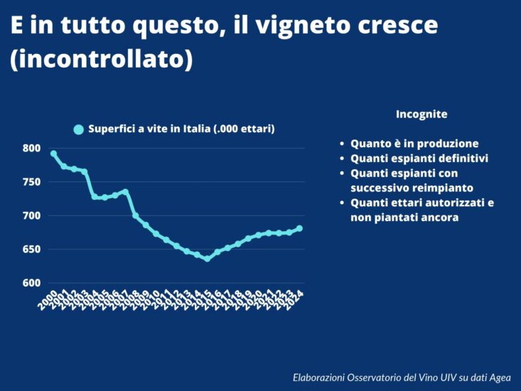 Il “piano” di Unione Italiana Vini per il vino italiano