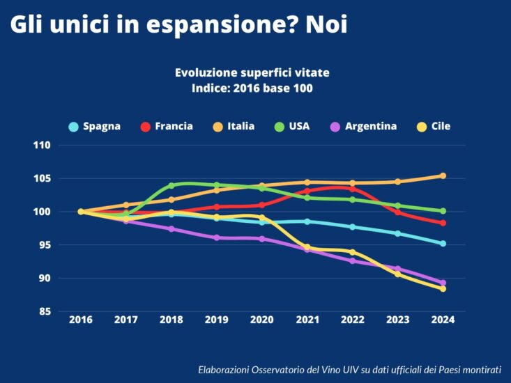 Il “piano” di Unione Italiana Vini per il vino italiano