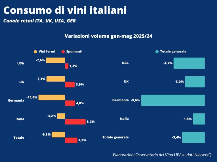 Il “piano” di Unione Italiana Vini per il vino italiano