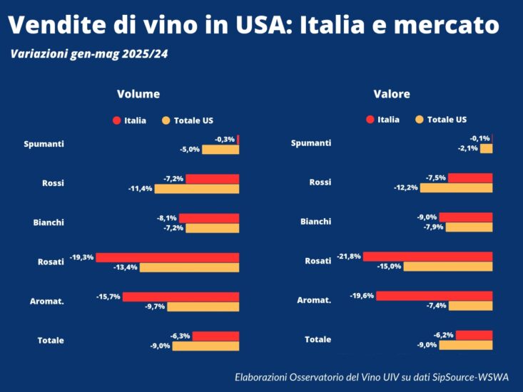 Il “piano” di Unione Italiana Vini per il vino italiano