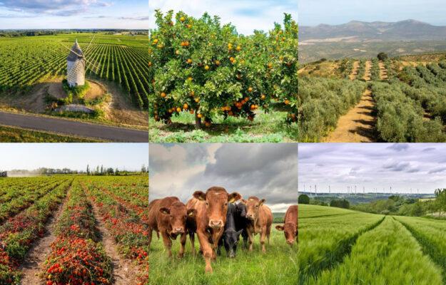 AGRICOLTURA, COMMISSIONE EUROPEA, PRODUZIONE, vino, Mondo