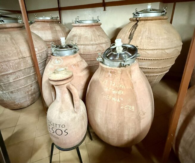 Il progetto del vino Nesos di Arrighi, affinato in mare e in anfora, ha dato un grande ritorno di notorietà alla vitocoltura dell’Elba (ph: Arrighi)