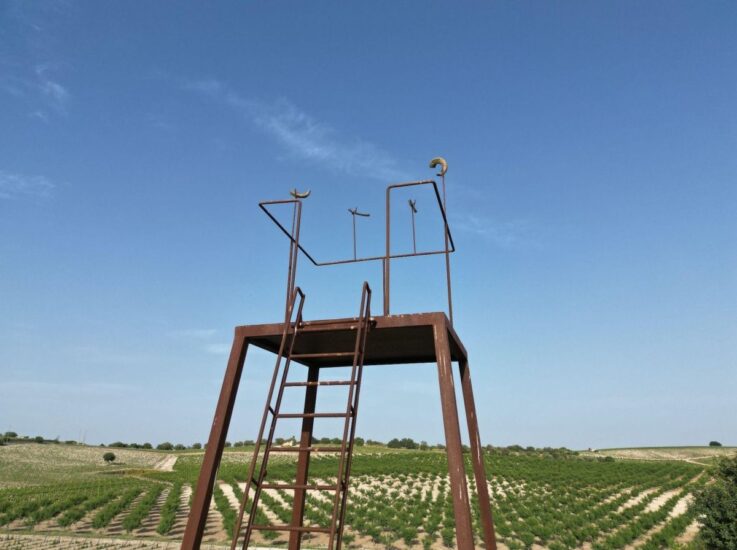 “Costellazione d’arte”, il progetto di arte contemporanea di Planeta con opere site specific alla cantina Buonivini a Noto