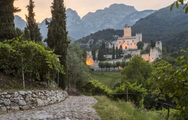 CONSORZIO DOC DELLE VENEZIE, ESTATE, FONDO AMBIENTE ITALIANO, PINOT GRIGIO, Italia