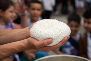 Formaggi a latte crudo, dal Ministero della Salute linee guida più stringenti per la produzione Formaggi a latte crudo, dal Ministero della Salute linee guida più stringenti per la produzione