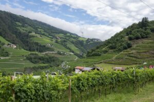 Per i vigneti “eroici” servono macchinari speciali: sono i protagonisti di “Enovitis Extrême” 2025 Per i vigneti “eroici” servono macchinari speciali: sono i protagonisti di “Enovitis Extrême” 2025
