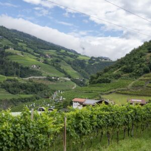 Per i vigneti “eroici” servono macchinari speciali: sono i protagonisti di “Enovitis Extrême” 2025
