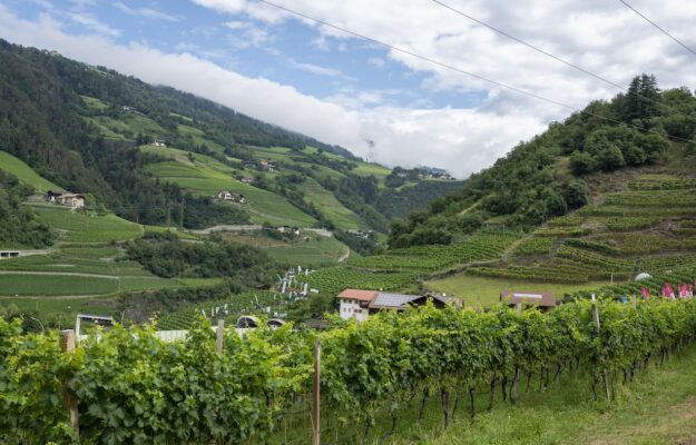ENOVITIS EXTREME, MACCHINARI, VITICOLTURA EROICA, Italia