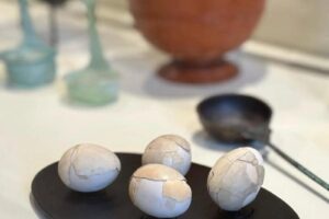 Cosa si mangiava ad Ercolano 2.000 anni fa? In una mostra le abitudini alimentari della quotidianità Cosa si mangiava ad Ercolano 2.000 anni fa? In una mostra le abitudini alimentari della quotidianità