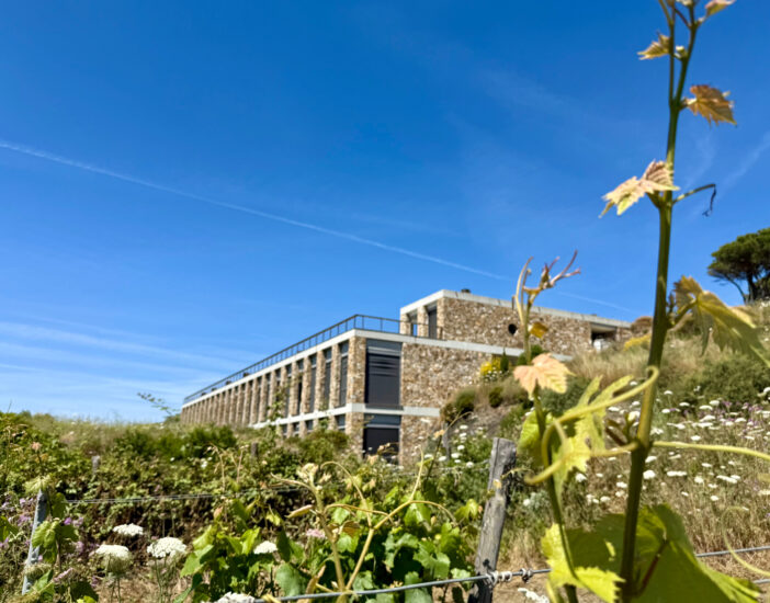 350 ettari vitati, 500.000 bottiglie, tra Elba Docg (Aleatico Passito), Elba Doc, Igt Toscana e Costa Toscana e da tavola, e 15 aziende, i numeri del vino elbano (ph: Fattoria Le Ripalte)