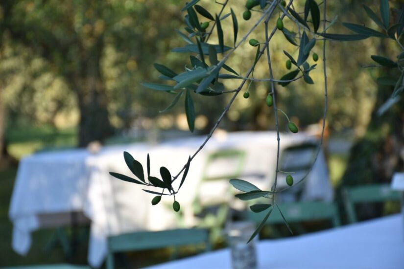 Vino & “Pizza in Oliveta” a Fèlsina, nel cuore del Chianti Classico, tra natura e convivialità 