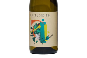 Giordano Spallacci, Doc Verdicchio dei Castelli di Jesi Il Pellegrino 2023
