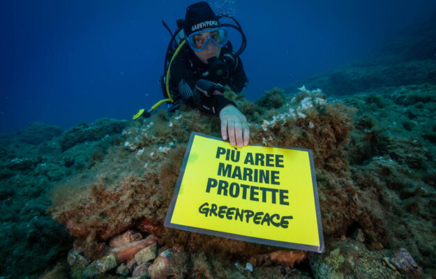 CAMBIAMENTO CLIMATICO, Greenpeace, MARE, MEDITERRANEO, Non Solo Vino