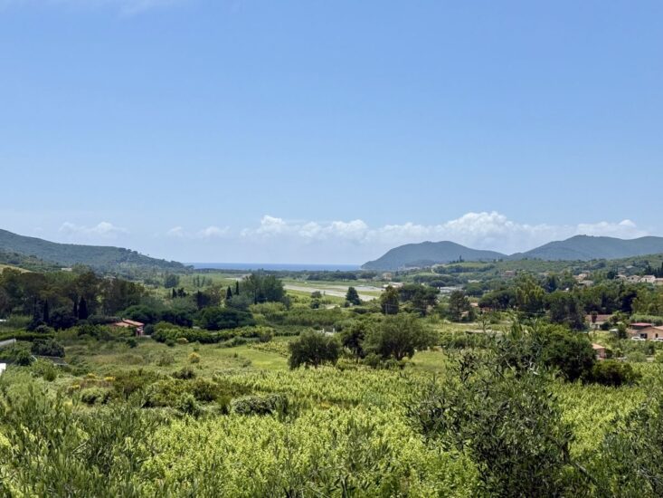 La qualità dei vini elbani è dovuta agli investimenti fatti dalle aziende, grazie ai quali sull’Isola c’è una domanda importante (ph: azienda Cecilia)