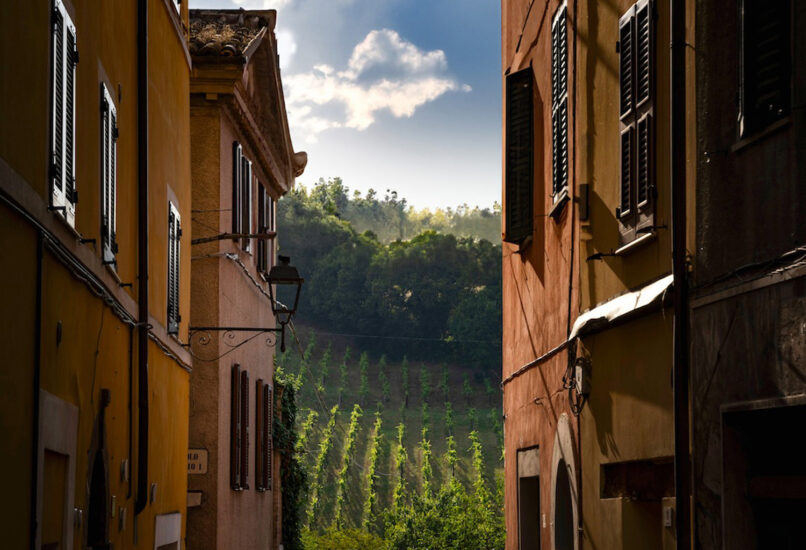 ENOGASTRONOMIA, ENOTURISMO, IMT, INVESTIMENTI OLTRE-CONFINE, LE MARCHE, TERRITORIO CONSOLIDATO, UMANI RONCHI, Su i Quaderni di WineNews