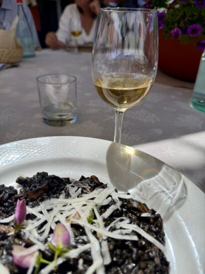 Enfatizzare la forza propulsiva, culturale e come attrattore enoturistico del vino, è la visione che accomuna i vignerons dell’Isola d’Elba