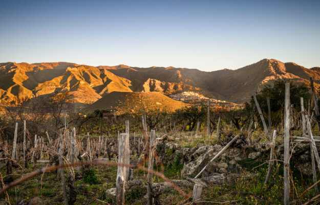ETNA, MARKETING ESPERIENZIALE, MURETTI A SECCO, progetto di-vino, Italia