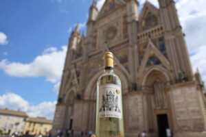 Trend “No-Lo”, c’è anche chi decide di modificare il Disciplinare: arriva l’Orvieto Doc a 10 gradi Trend “No-Lo”, c’è anche chi decide di modificare il Disciplinare: arriva l’Orvieto Doc a 10 gradi