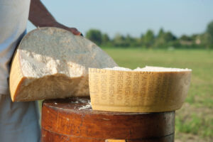 Parmigiano Reggiano, il “re” della montagna: oltre il 21,7% della produzione è “di quota” Parmigiano Reggiano, il “re” della montagna: oltre il 21,7% della produzione è “di quota”