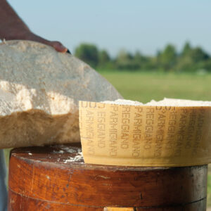 Parmigiano Reggiano, il “re” della montagna: oltre il 21,7% della produzione è “di quota”