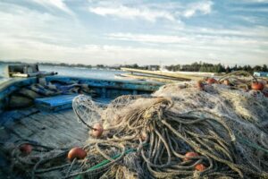 Ondate di calore nel Mediterraneo: reti vuote e pesci in fuga, cala la pesca fino al 40% Ondate di calore nel Mediterraneo: reti vuote e pesci in fuga, cala la pesca fino al 40%