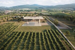 Ancora una cantina d’autore in terra bolgherese: al via il progetto “Padiglione Sapaio” Ancora una cantina d’autore in terra bolgherese: al via il progetto “Padiglione Sapaio”