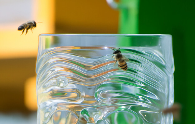ALVEARI, API, BIODIVERSITÀ, Rcr cristalleria, SANTA CHIARA LAB-UNIVERSITÀ DI SIENA, Non Solo Vino