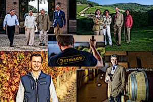 Tenuta San Guido top per redditività, Antinori (anche) per vigneti: i “n. 1” del vino italiano