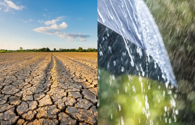 CAMBIAMENTO CLIMATICO, CHIANTI, Coldiretti, EMERGENZA CALDO, GRANDINE, METEO, SICCITA', VERNACCIA DI SAN GIMIGNANO, Non Solo Vino