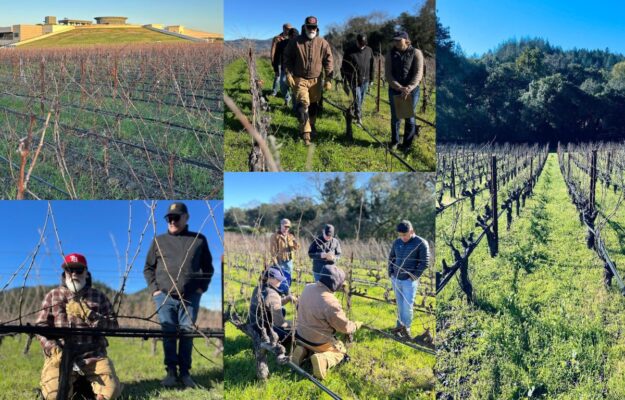 ARCHITETTURA DINAMICA, CALIFORNIA, MARCO SIMONIT, OPUS ONE, PIERPAOLO SIRCH, POTATURA, SIMONIT & SIRCH, VIGNA, VINE MASTER PRUNERS, VINI DI LUOGO, VITE, Mondo