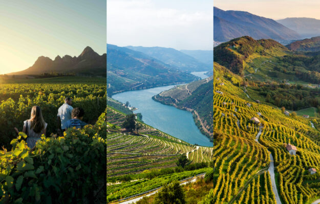 ENOTURISMO, ITALIA, PORTOGALLO, SUDAFRICA, TITAN TRAVEL, TURISMO DEL VINO, Mondo